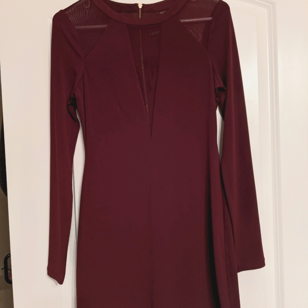 Express long sleeve dress